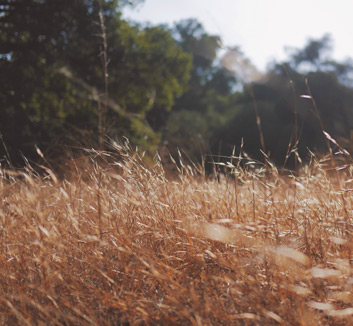法国客场不敌土耳其，小组出线或受影响