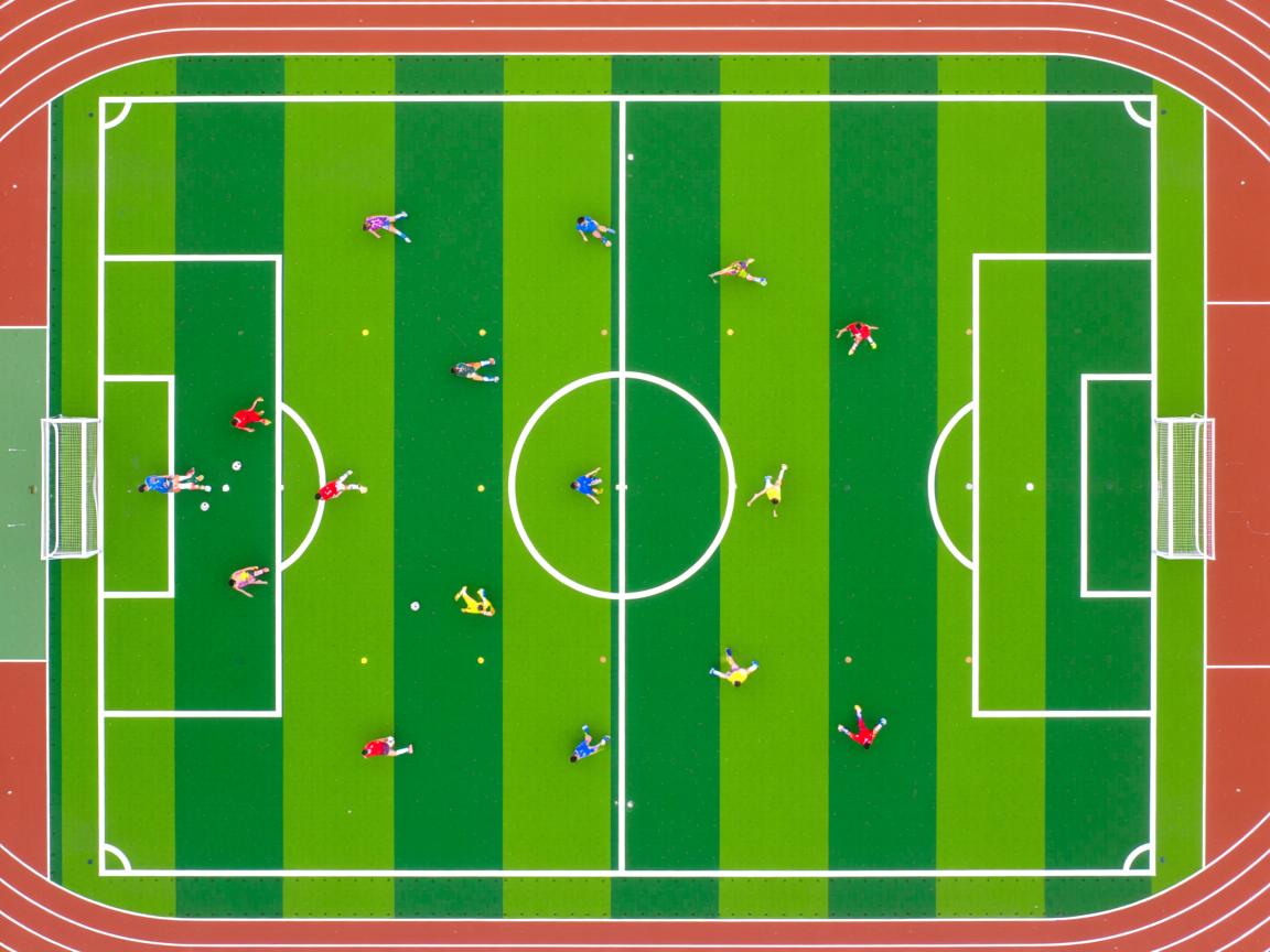 杏彩体育官网-男女蛙泳划频平均值首次披露，蛙泳男子比赛