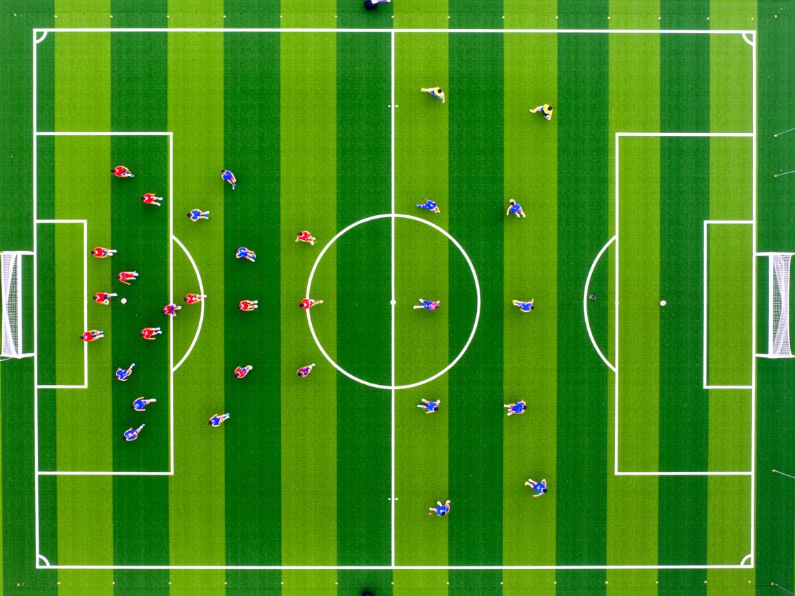 杏彩平台下载-美国仰泳项目双线作战皆有收获，仰泳 美国  第3张