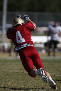 杏彩平台官网-外援适应球队节奏成为成败关键融合度需加强，外援球队球员  第2张